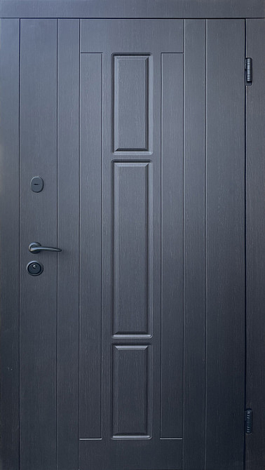 Вуличні двері Форт-М, модель ТРОЯНА комплектація "КОМФОРТ" колір венге темний Київ - фото 1