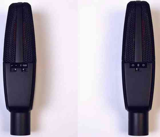 Професійний Конденсаторний Мікрофон TAKSTAR TAK55 Київ