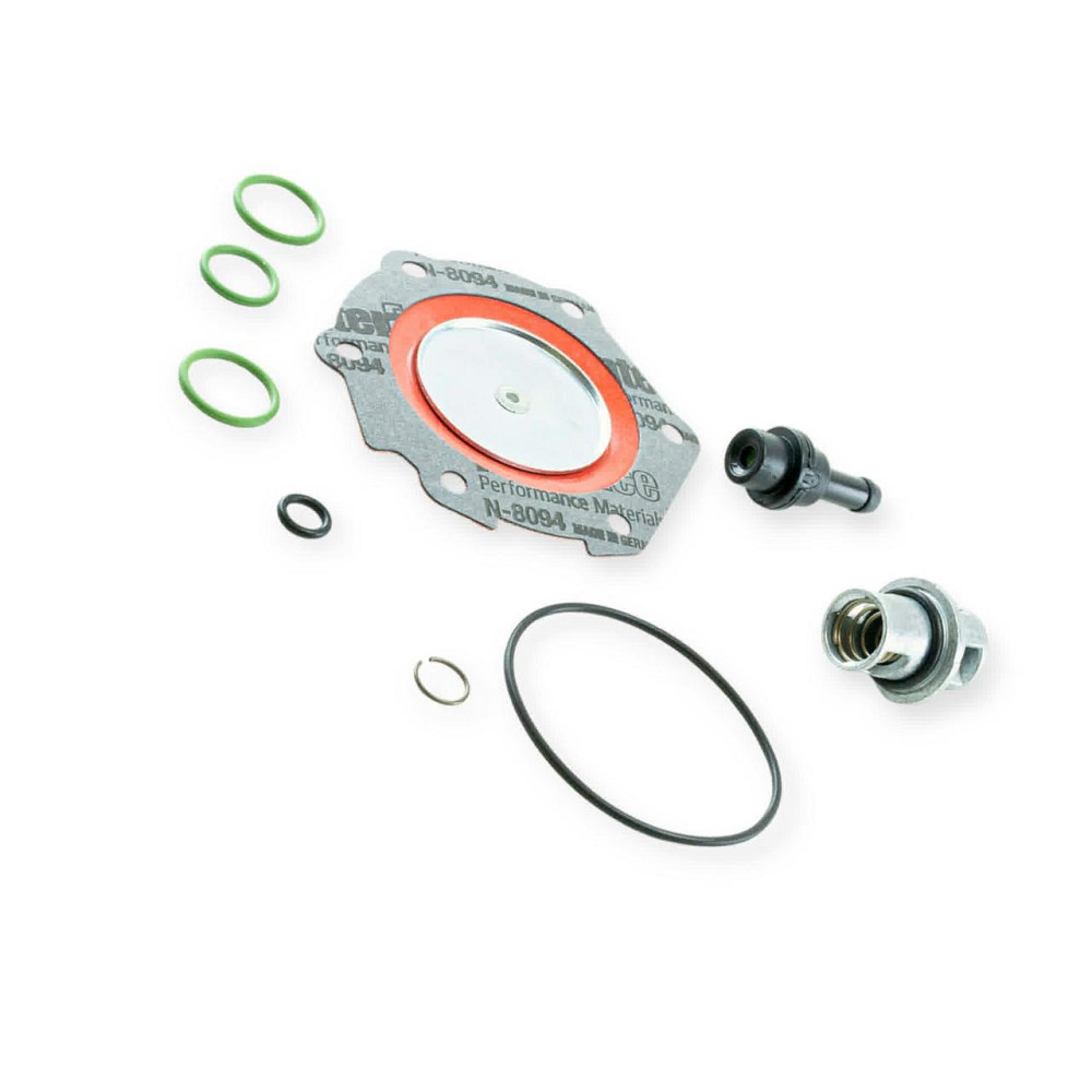 Ремкомплект fkm rgj-3/3.2/3.2l red - gas редуктора Мукачево - фото 1