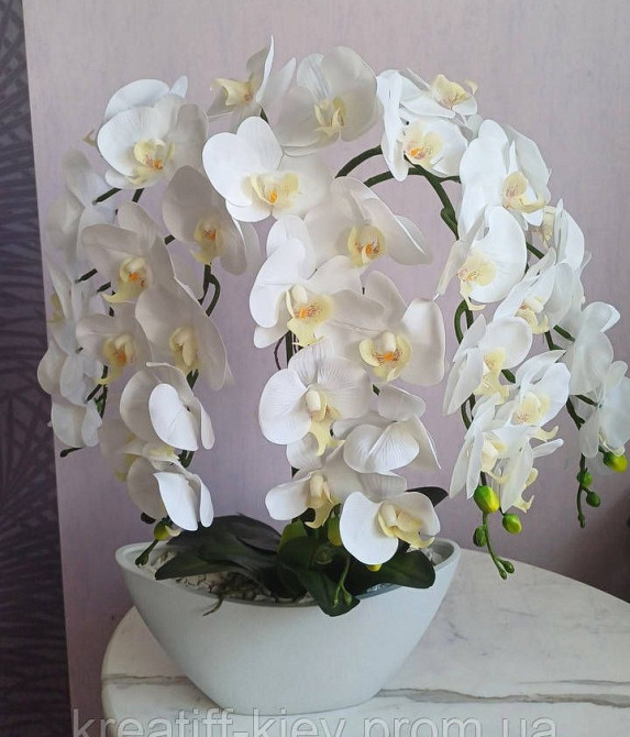 Штучна латексна орхідея преміум у білому керамічному кашпо на п'ять гілок біла Дніпро - фото 1