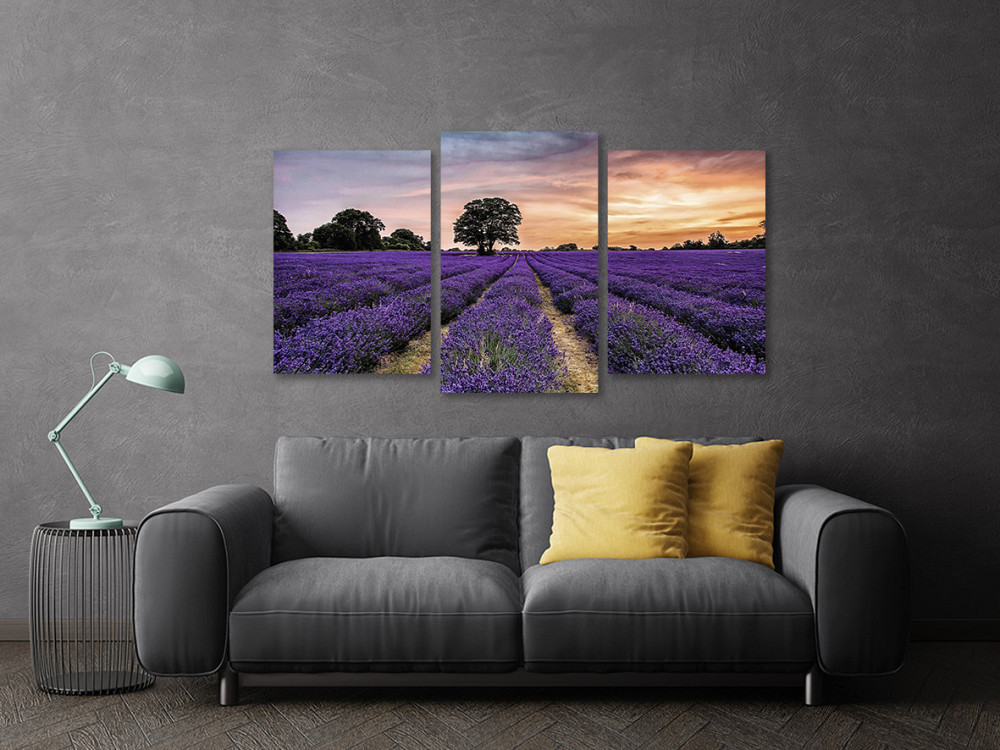 Модульна картина у вітальню/ спальню  Поле Лаванда    Art-556_3 70x130 см Київ - фото 3