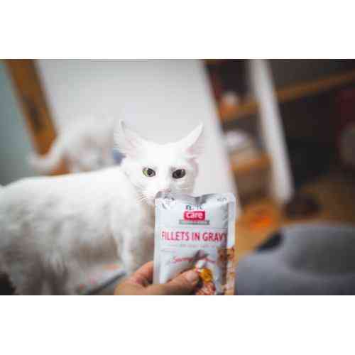 Вологий корм Brit Care Cat Pouch для котів, філе в соусі, пікантний лосось, 85 г Київ