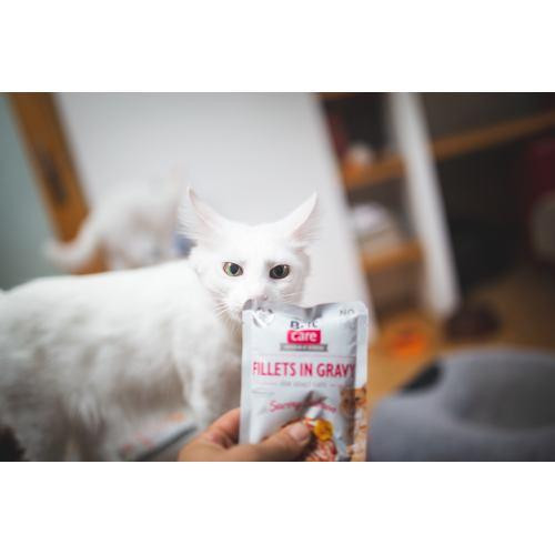 Вологий корм Brit Care Cat Pouch для котів, філе в соусі, пікантний лосось, 85 г Київ - фото 3
