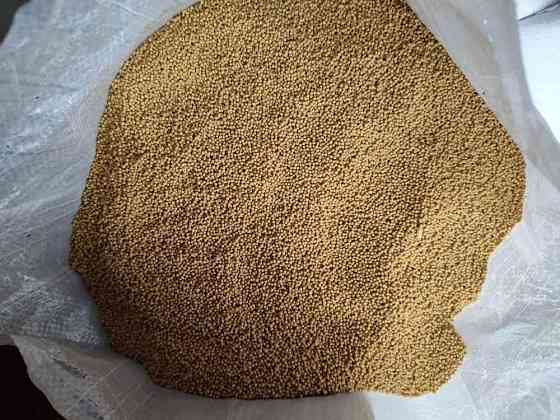 Семена травы горчица белая сидерат б/с 10 кг Винница