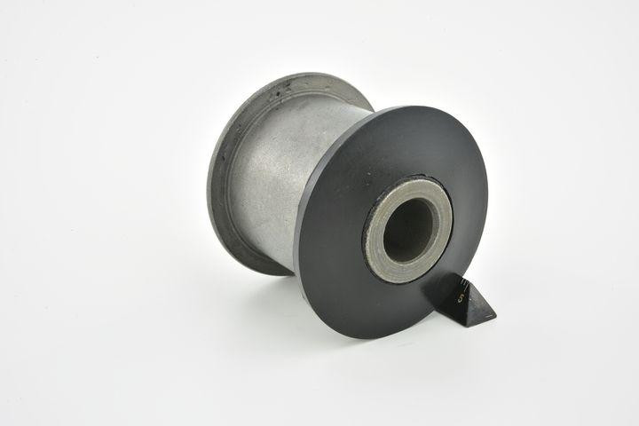 Сайлентблок переднего рычага Raiso (Швеция) Nissan Altima (L31), Ниссан Альтима 01-06 #RL-022074F UALTZJP22 Ковель - изображение 1