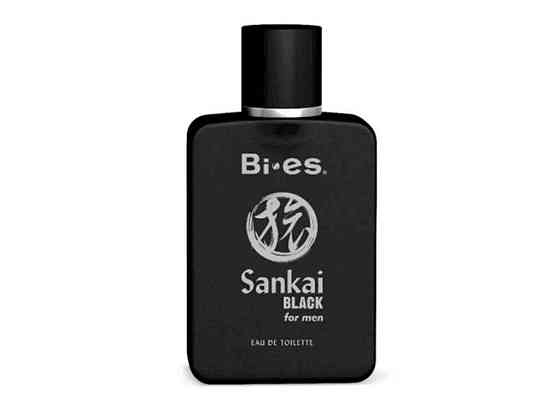 Туалетная вода чел. 100мл Sankai Black ТМ BI-ES Solmir Киев