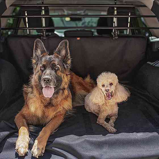 Перегородка в машину для собак Ferplast Dog Car Security (Ферпласт Дог Кар Секуриті) Запоріжжя