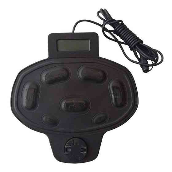 50800 Ножной контролер Haswing для Cayman B Черкассы