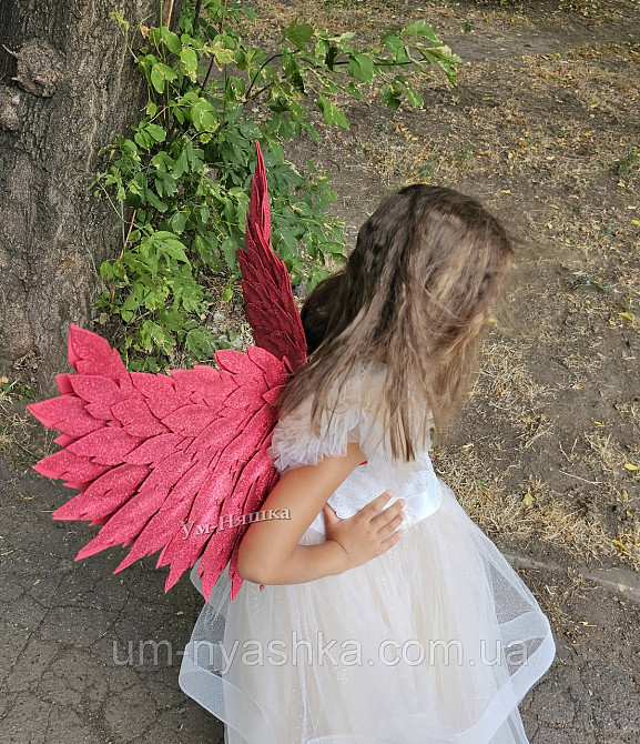 Червоні Крила великі Кривий Ріг - фото 5