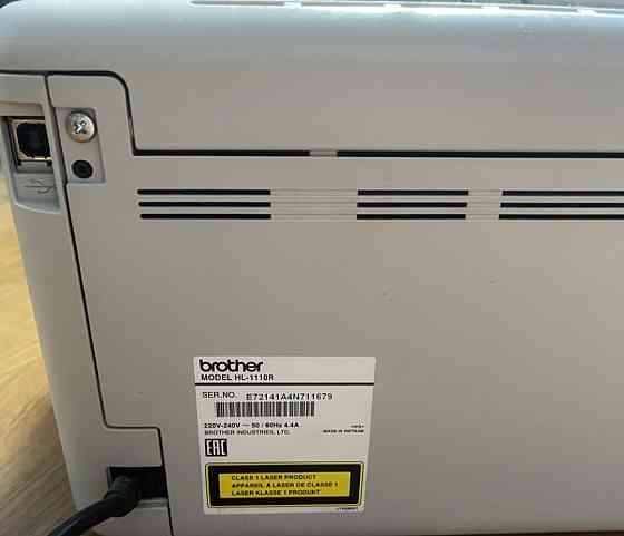 Принтер: Brother HL-1110R. Київ