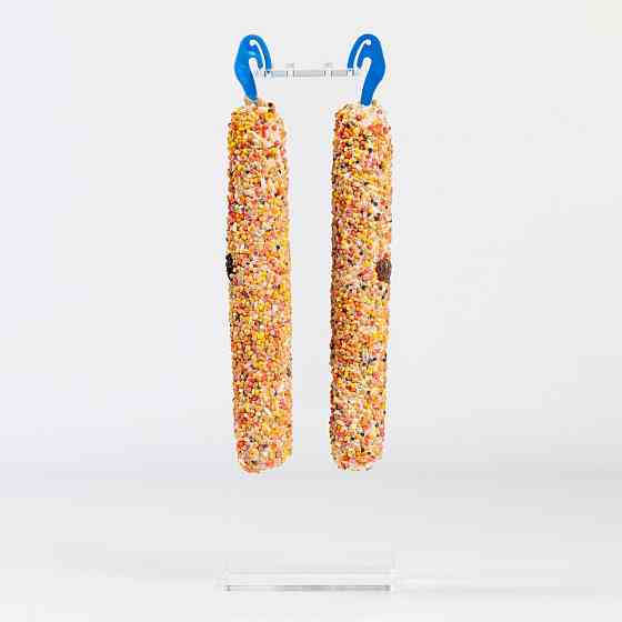 Колосок Природа "Фруктовий" для хвилястих папуги 140 г Вінниця