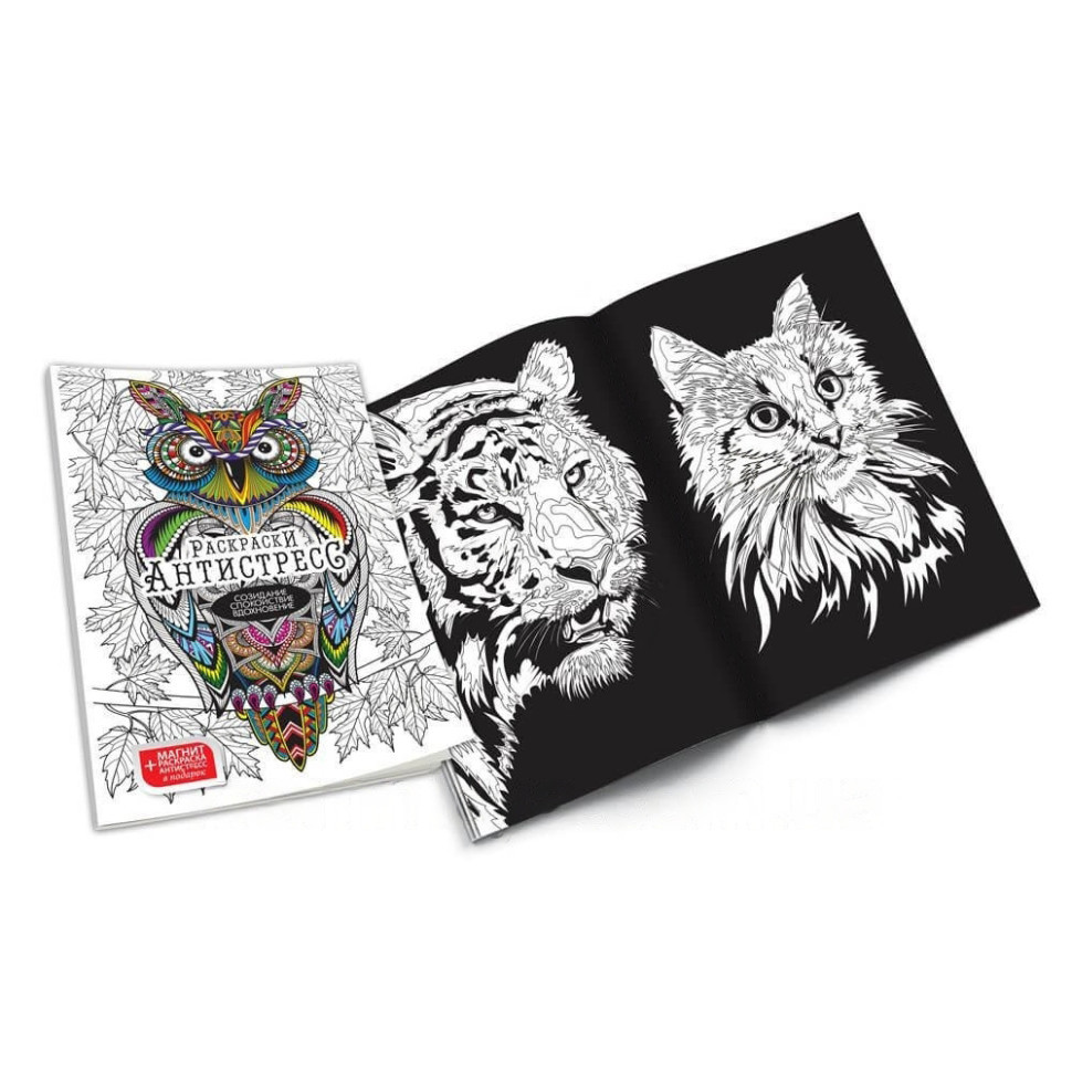 Розмальовки Антистрес "Сова" RA-02-01U без фломастерів Вінниця - фото 1