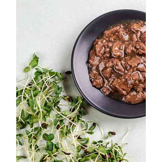 Влажный корм Savory для котят, ягненок с тыквой в желе, пауч, 85 г Винница