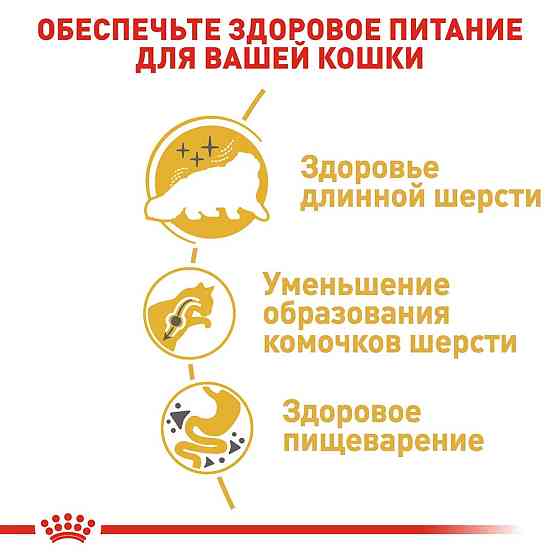 Royal Canin Persian Adult (Рояв Канін Першиан) сухий корм для котів перської породи від 12 місяців 2 кг. Запоріжжя