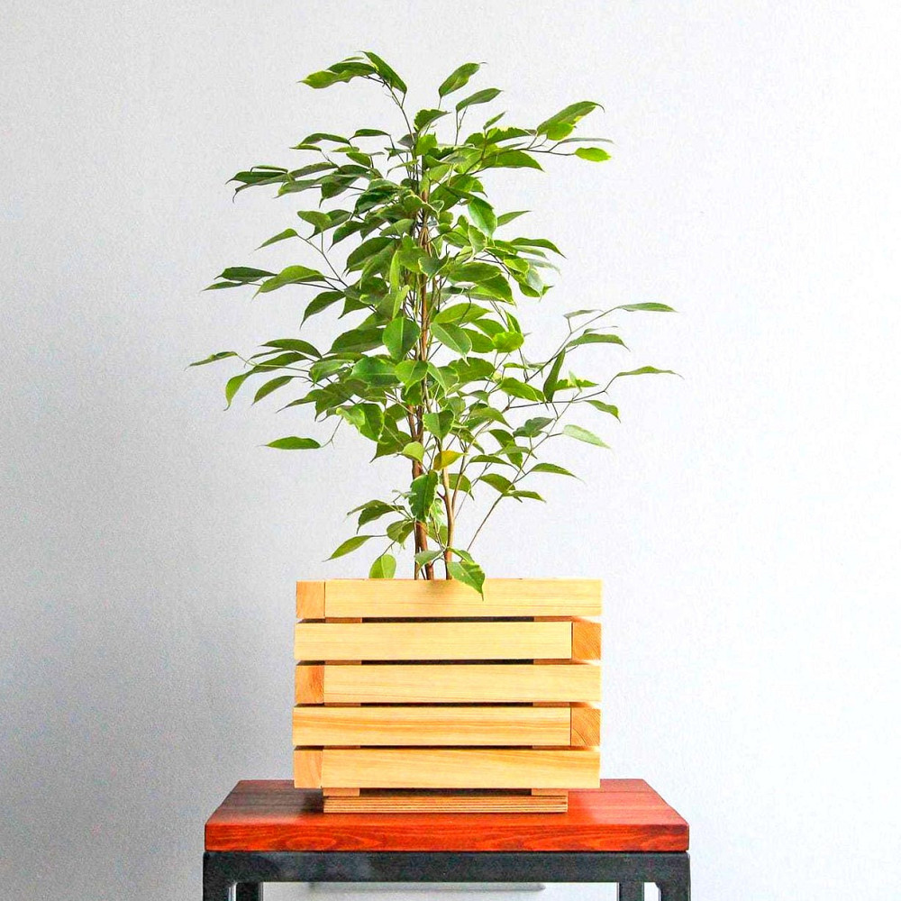 Кашпо "Дзвіночок" бланже Миколаїв - фото 2