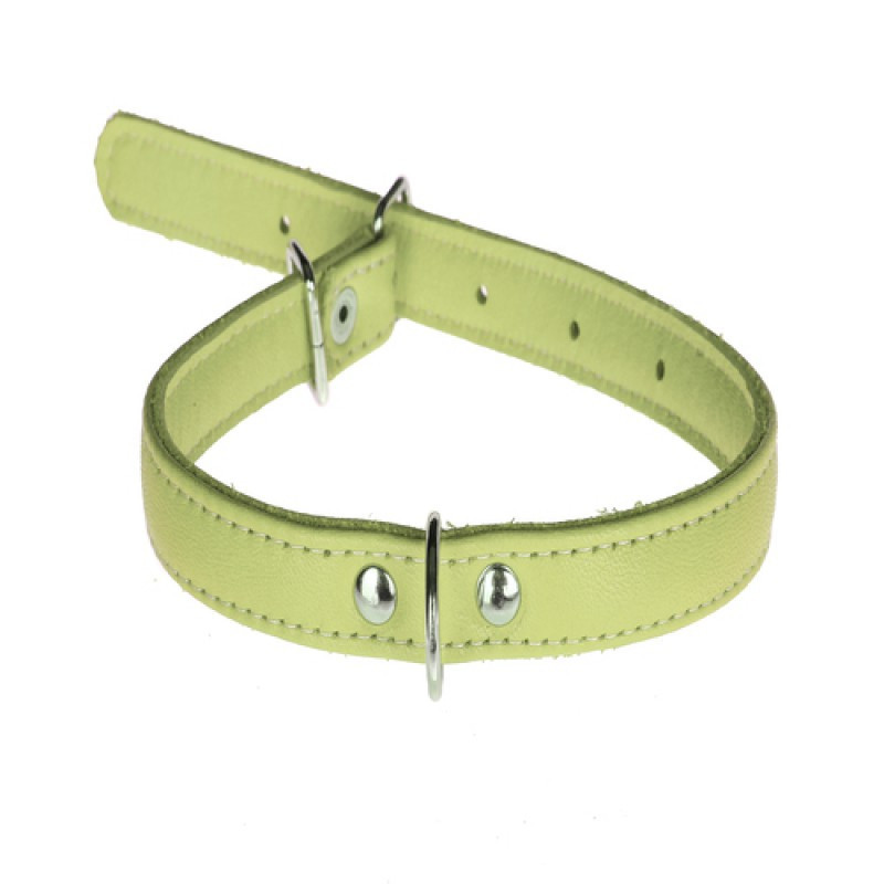 Нашийник 2483 20мм "Люкс" 1-сторонній Салатовий Вінниця - фото 1