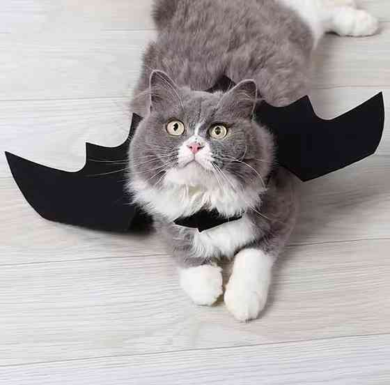 Крила кажана косплей для собак і котів крила на Хелловін чорний Київ
