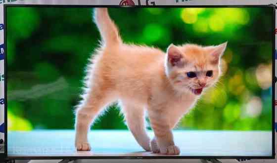 Телевизор Безрамный: 65