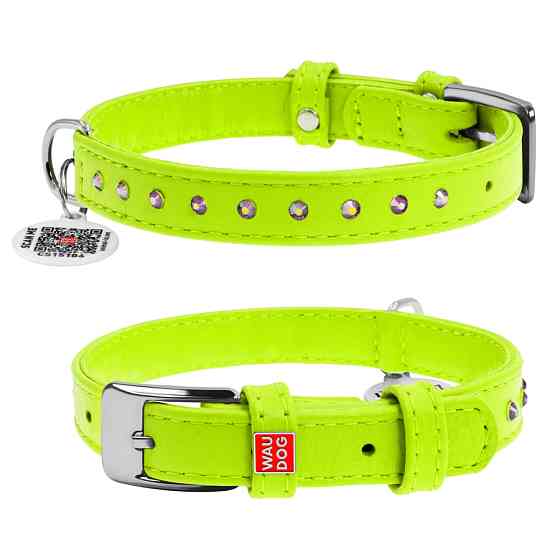 Нашийник для собак шкіряний WAUDOG Glamour з QR паспортом, з клейовими стразами, Ш 15 мм, Дов 2 Коломыя