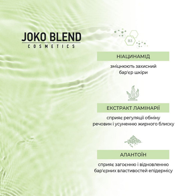 Матувальний тонік для комбінованої та жирної шкіри Skin Detox Joko Blend 150 мл Вінниця - фото 7