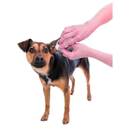 Серветки Trixie для догляду за вухами 30шт Киев