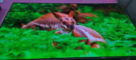 Телевизор Безрамный: 65