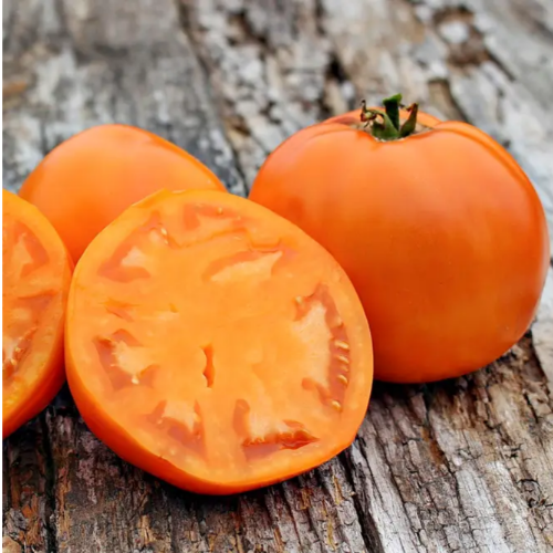 Томат Солідо F1 кущовий жовтий 10шт Професійне насіння Житомир - фото 3