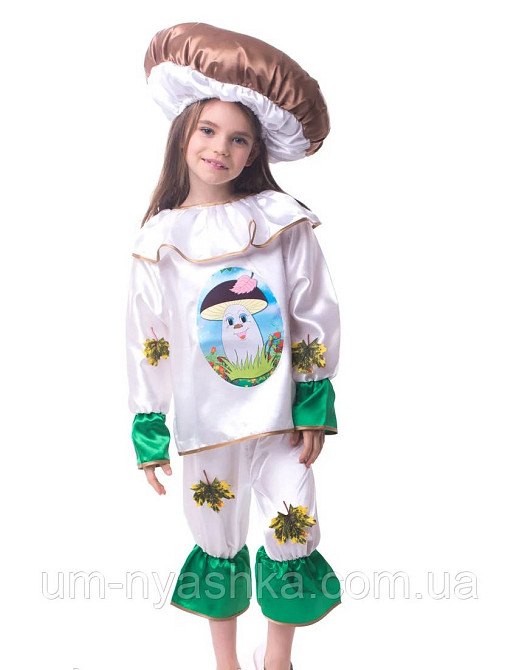 Костюм Гриб, Карнавальний костюм Гриба Боровика Кривий Ріг - фото 1