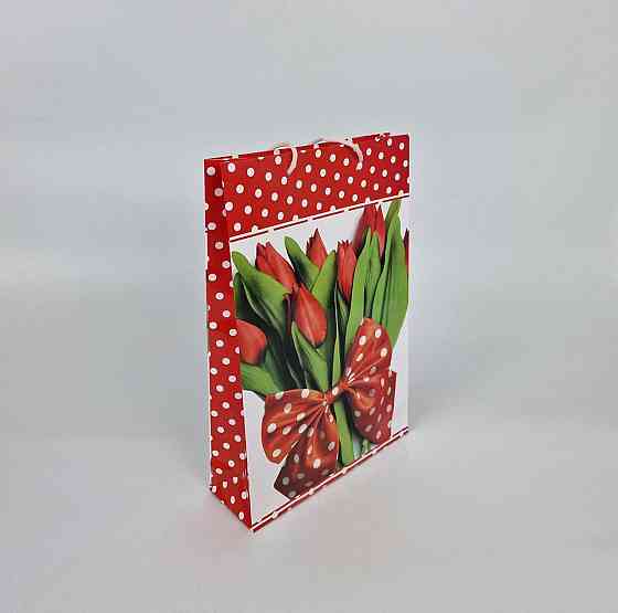 Великий паперовий пакет вертикальний 25/37/8 (артBV-066) (12 шт.) Харків