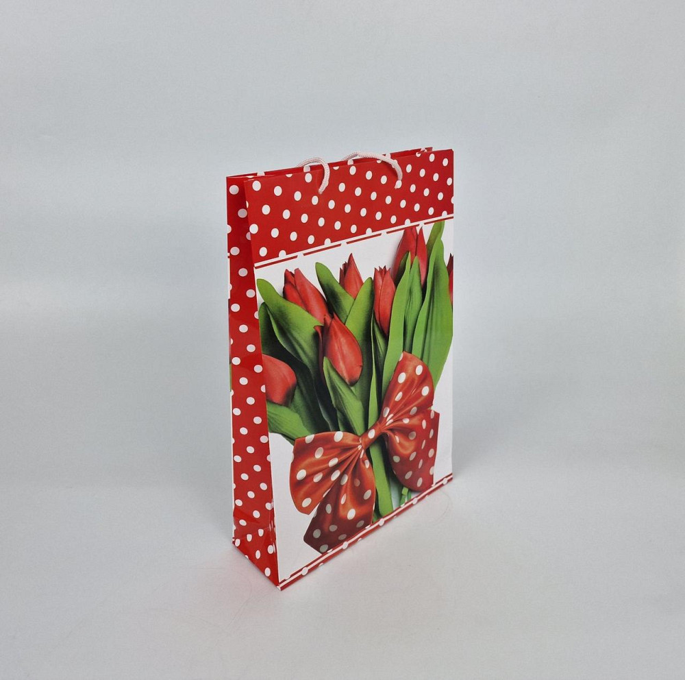 Великий паперовий пакет вертикальний 25/37/8 (артBV-066) (12 шт.) Харків - фото 1