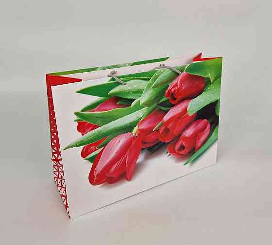 Паперовий пакет горизонтальний гігант 46*33*15 (артGG-001) (12 шт.) Харків