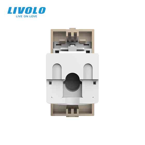 LIVOLO Інтернет-розетка RJ-45 (8P8C Cat.6) LIVOLO, золота, модуль 0.5 поста, з шторкою (VL-FCCP Коломия