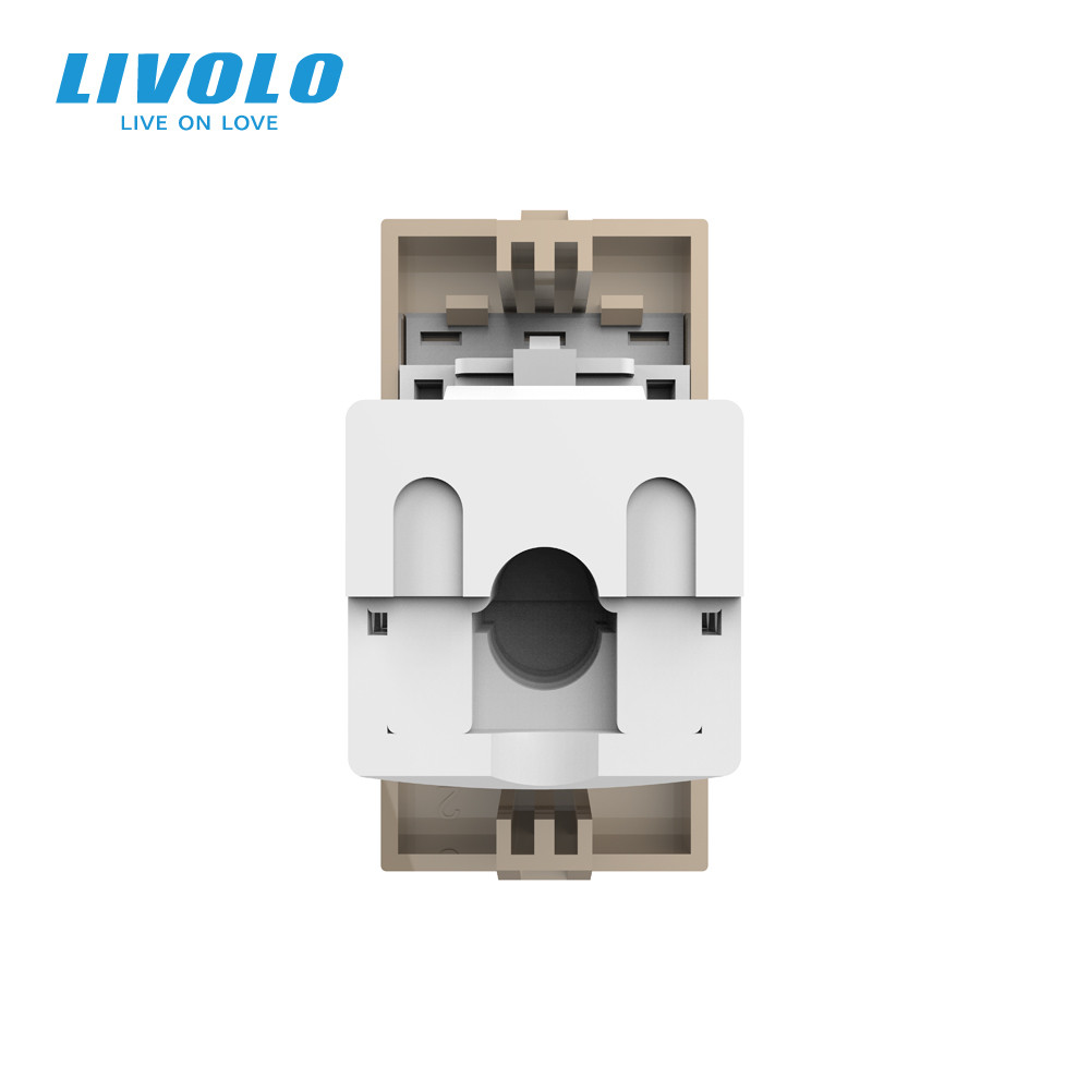 LIVOLO Інтернет-розетка RJ-45 (8P8C Cat.6) LIVOLO, золота, модуль 0.5 поста, з шторкою (VL-FCCP Коломия - фото 6