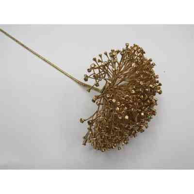 Декоративная ветвь YES! Fun Алиум 54см, золото (974600) Винница
