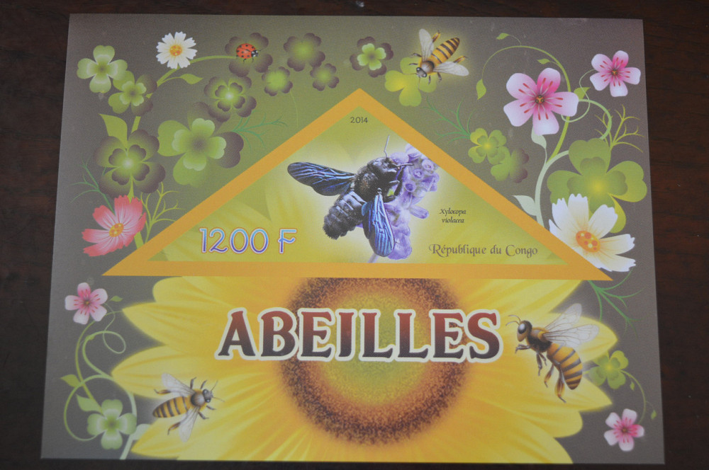 Конго. Фауна. Личности. Блок. 2014 р. (А-34) Полтава - фото 1