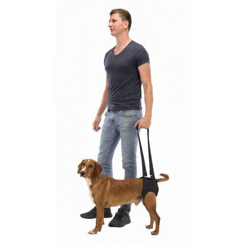 Підтримуюча шлейка Trixie для собак, L: 65-75см, чорний Вінниця - фото 7