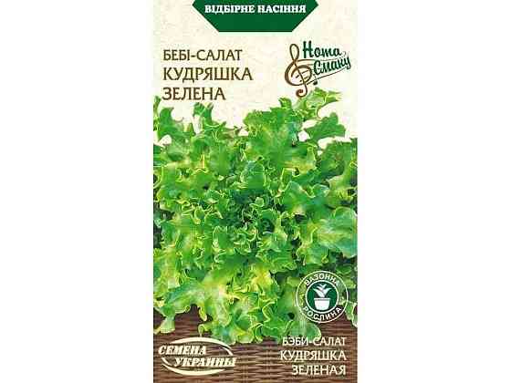 Салат-беби КУДРАШКА ЗЕЛЕНА НВ 1г (20 пачек) ТМ СЕМЕНА УКРАИНЫ Solmir Киев