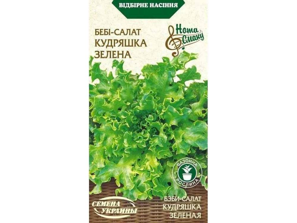 Салат-беби КУДРАШКА ЗЕЛЕНА НВ 1г (20 пачек) ТМ СЕМЕНА УКРАИНЫ Solmir Киев - изображение 1