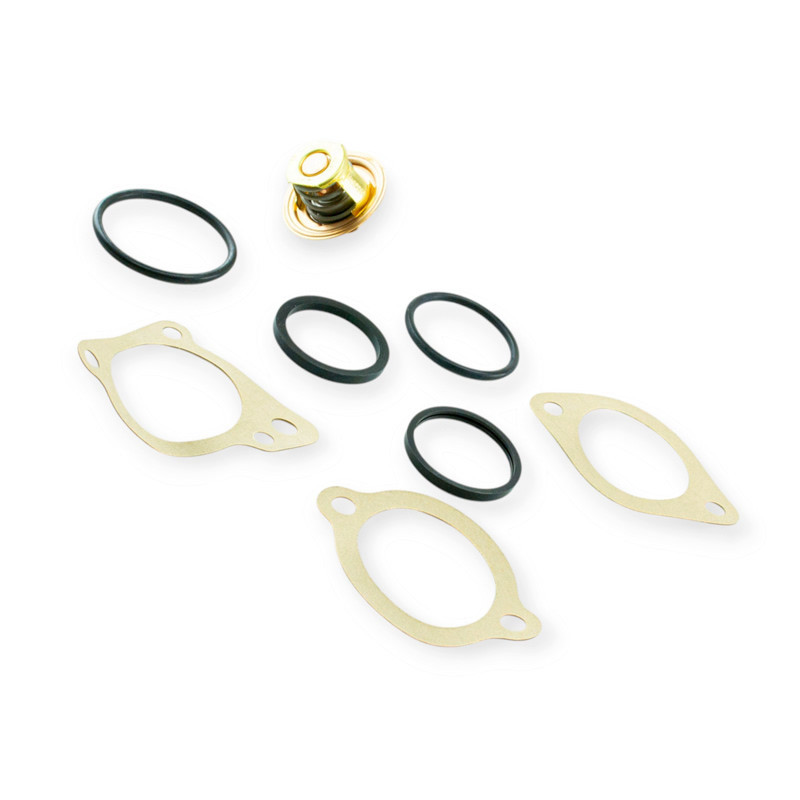 Термостат вставка Амулет Мукачево - фото 1