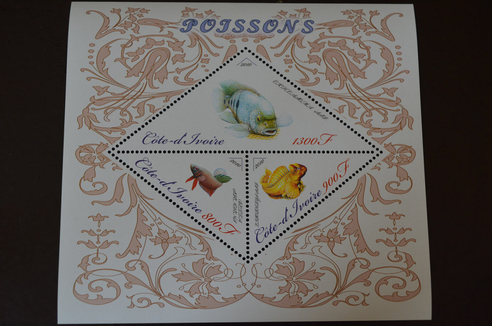 Марки. Фауна. Блок. 2010 рік (А-31) Полтава - изображение 1