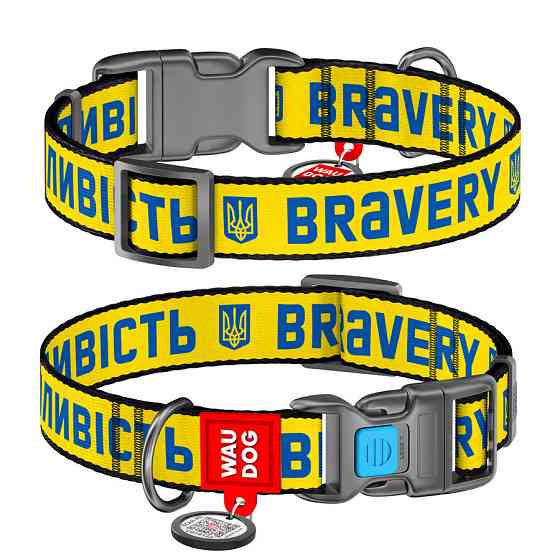 Нашийник для собак нейлоновий WAUDOG Nylon з QR-паспортом, малюнок "Срібність", пластиковий фастекс, S, Ш 15 мм, Вінниця