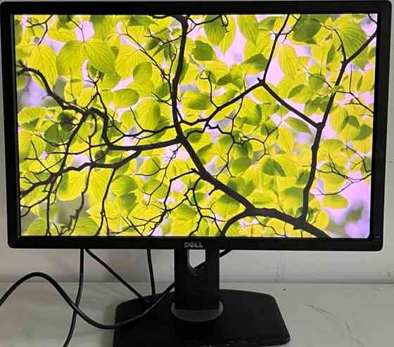 Монитор: DELL - 24