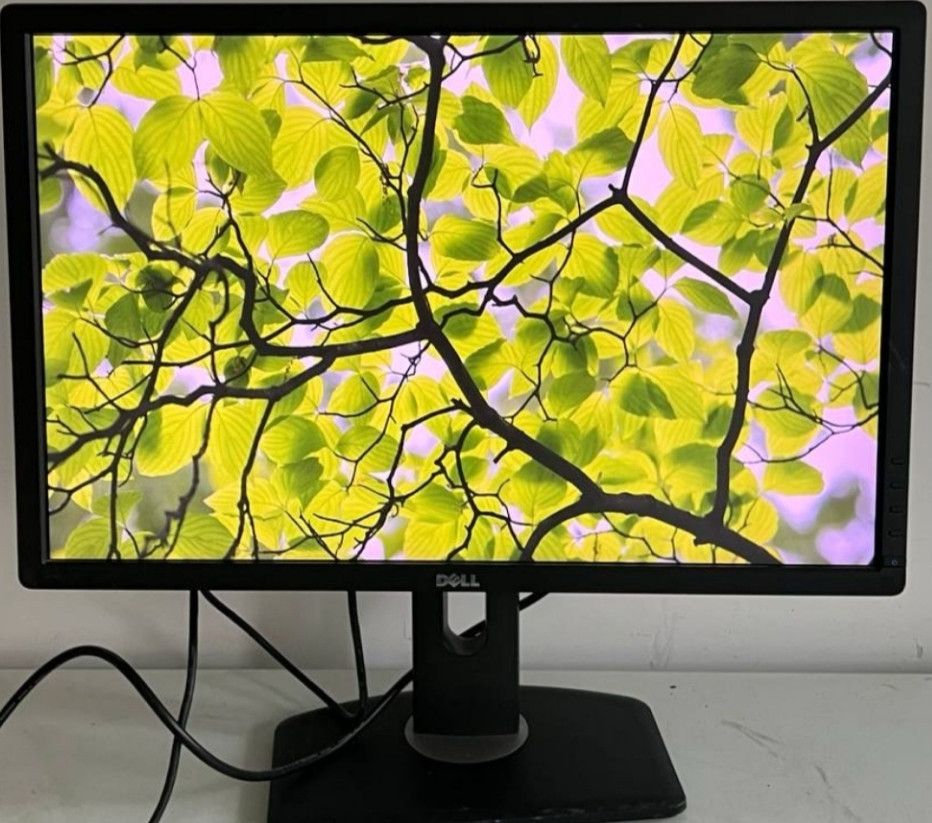 Монитор: DELL - 24
