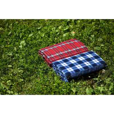 Плед Ardesto Picnic 130х170см, 100% полиэстер, клетка синий (ART0916BC) Винница