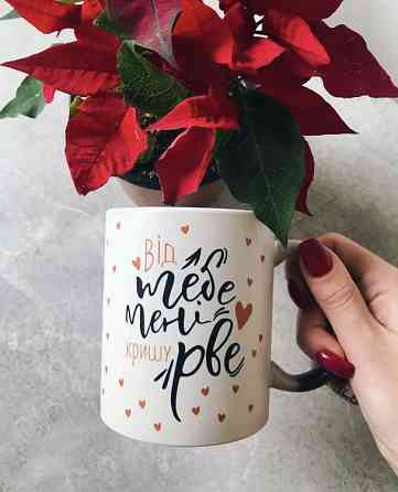 Кружка Від тебе мені кришу рве Вінниця