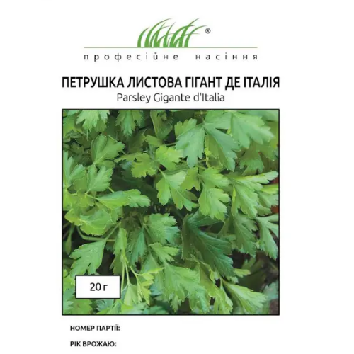 Петрушка Гігант де Італія листова 20гр Професійне насіння Житомир - фото 2