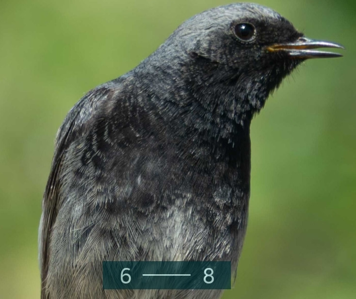 Фотоаппарат Panasonic Lumix DC-FZ82D DC-FZ82DE-K Киев - изображение 3