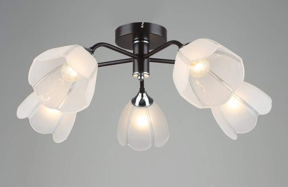 SIRIUS Люстра стельова у вітальню Sirius B N6048/5 COFFEE+CR Коломия - фото 1