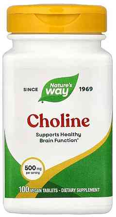 Холин Nature's Way Choline 500 mg 100 табл Киев