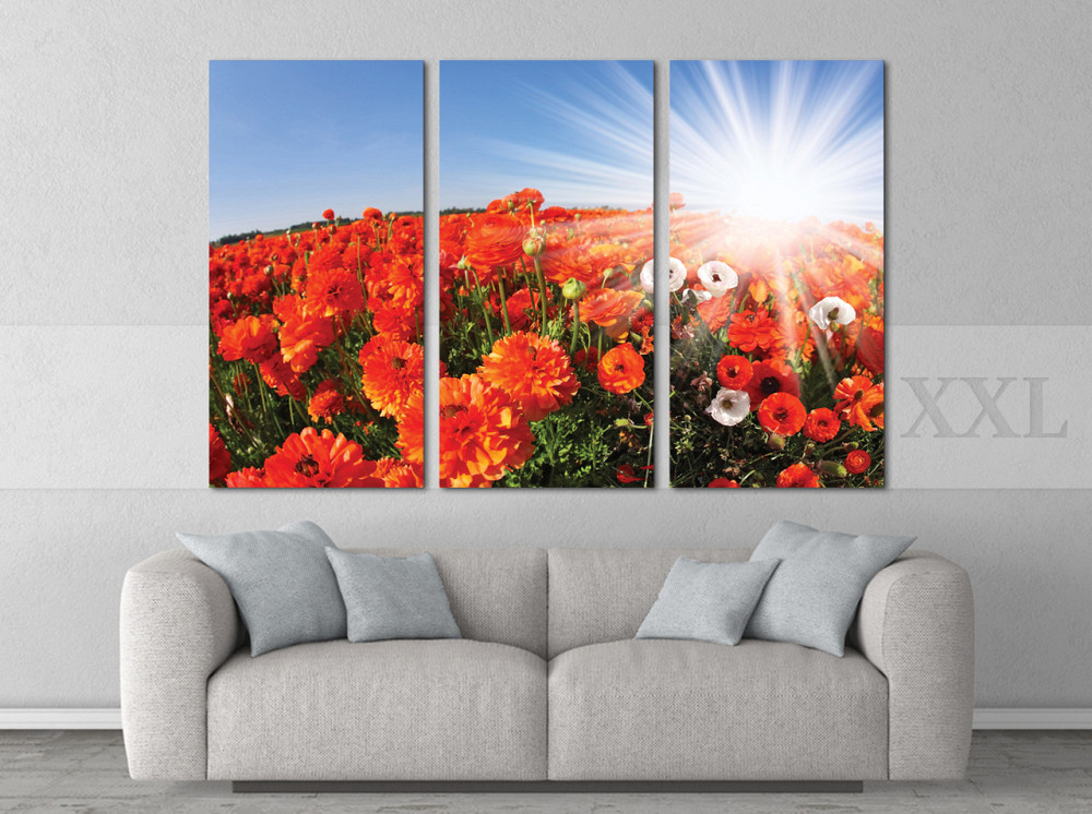 Модульная картина Поле Маки Art-19_XXL Киев - изображение 2